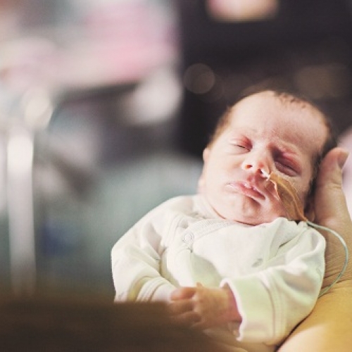 Research To Improve Gut Health For Premature Babies